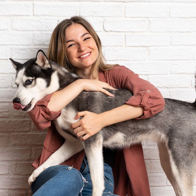 seguro medico perros